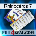 Rhinocéros 7 11